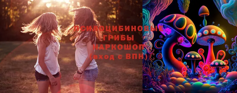 Псилоцибиновые грибы Magic Shrooms  купить  сайты  kraken рабочий сайт  Ступино 